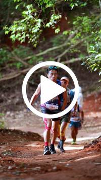 BIB:  <button type="button" onclick="openModal(27331112)" class="btn btn-primary btn-sm float-right" data-toggle="modal" data-target=".modal-high-quality">
                <i class="fa fa-download"></i> Download
                </button>